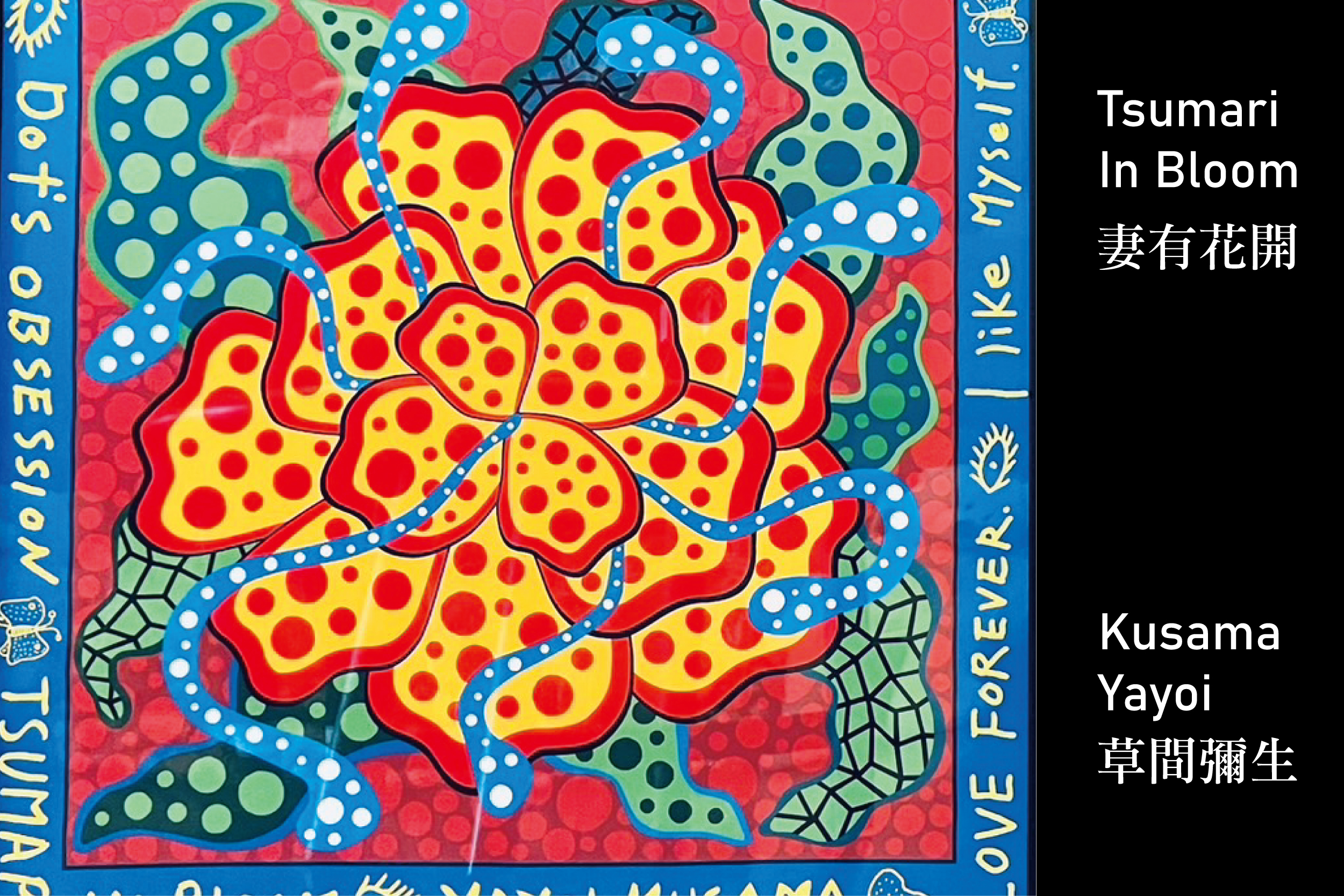妻有花開—草間彌生- gayahotel